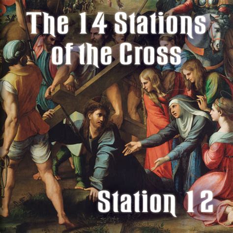 stations of the cross denver 2024
